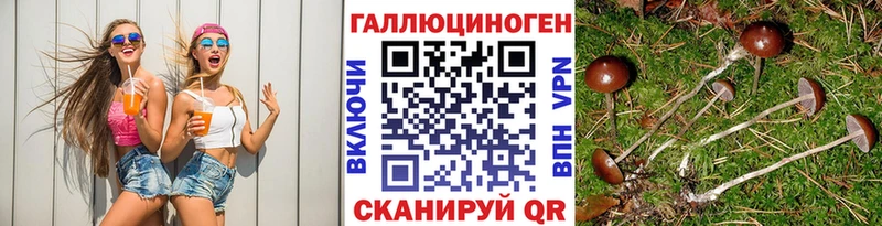 Псилоцибиновые грибы мицелий  Темников 